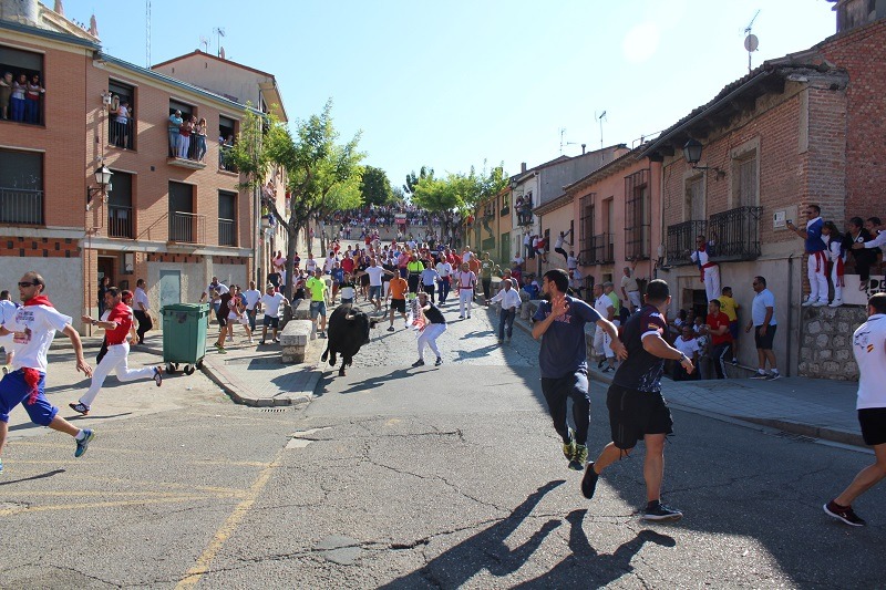 El Ayuntamiento de Tordesillas solicita realizar el “Toro de la Vega” como festejo popular