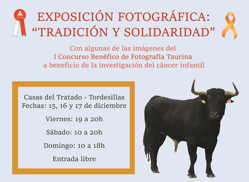 Tordesillas acogerá la exposición «Tradición y Solidaridad» en las Casas del Tratado