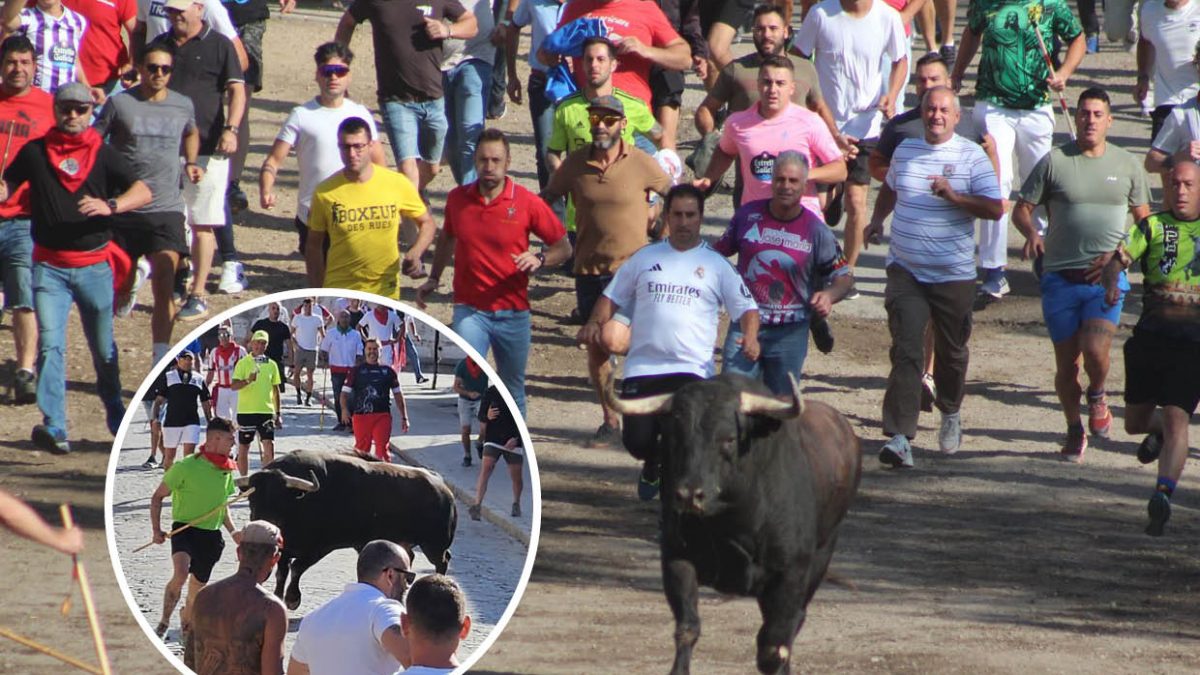 ‘Saltavallas’, protagonista de un Toro de la Vega con expectación y tensión hasta el final