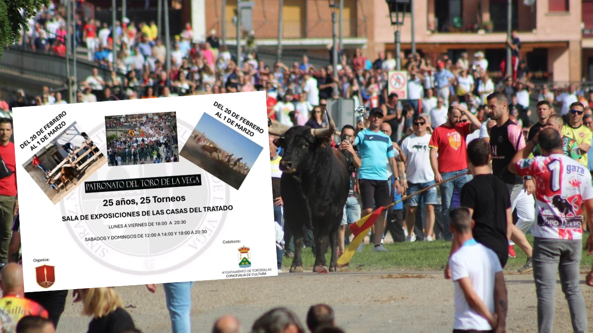 El Patronato del Toro de la Vega rinde homenaje a la tradición con la muestra ’25 años, 25 torneos’