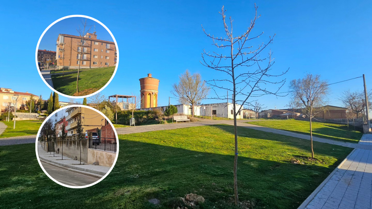 El Ayuntamiento planta más de un centenar de árboles en el casco urbano y el entorno de Tordesillas